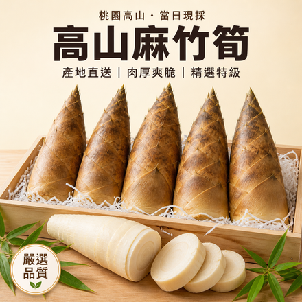 【肉厚爽脆】桃園高山麻竹筍