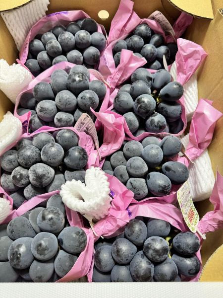紫泡泡葡萄 原箱實拍