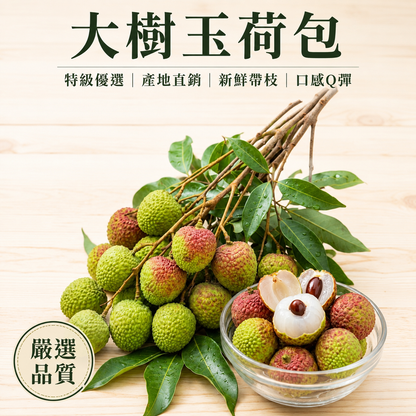 【籽小肉厚】大樹玉荷包荔枝