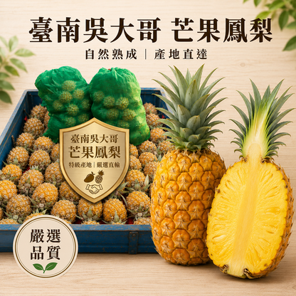 【雙重果香】台南芒果鳳梨