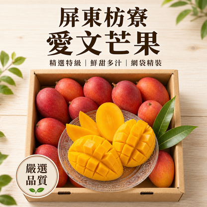 【外銷特級】屏東枋寮愛文芒果