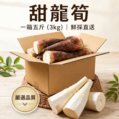 【清甜脆嫩】高山甜龍筍