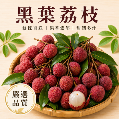 【果肉厚實】黑葉荔枝