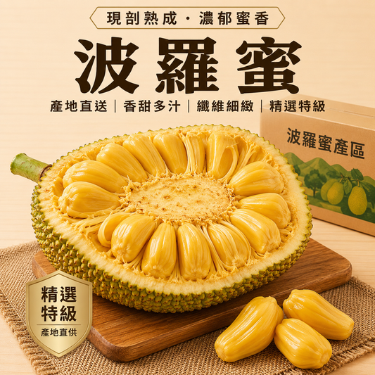 波羅蜜 首圖