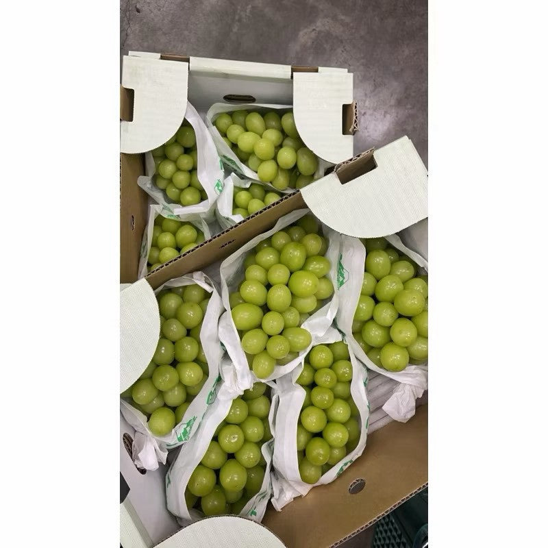麥香葡萄果粒翠綠飽滿