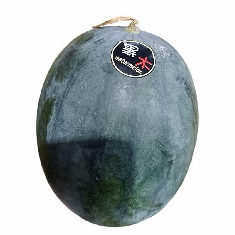 日本品種黑木西瓜