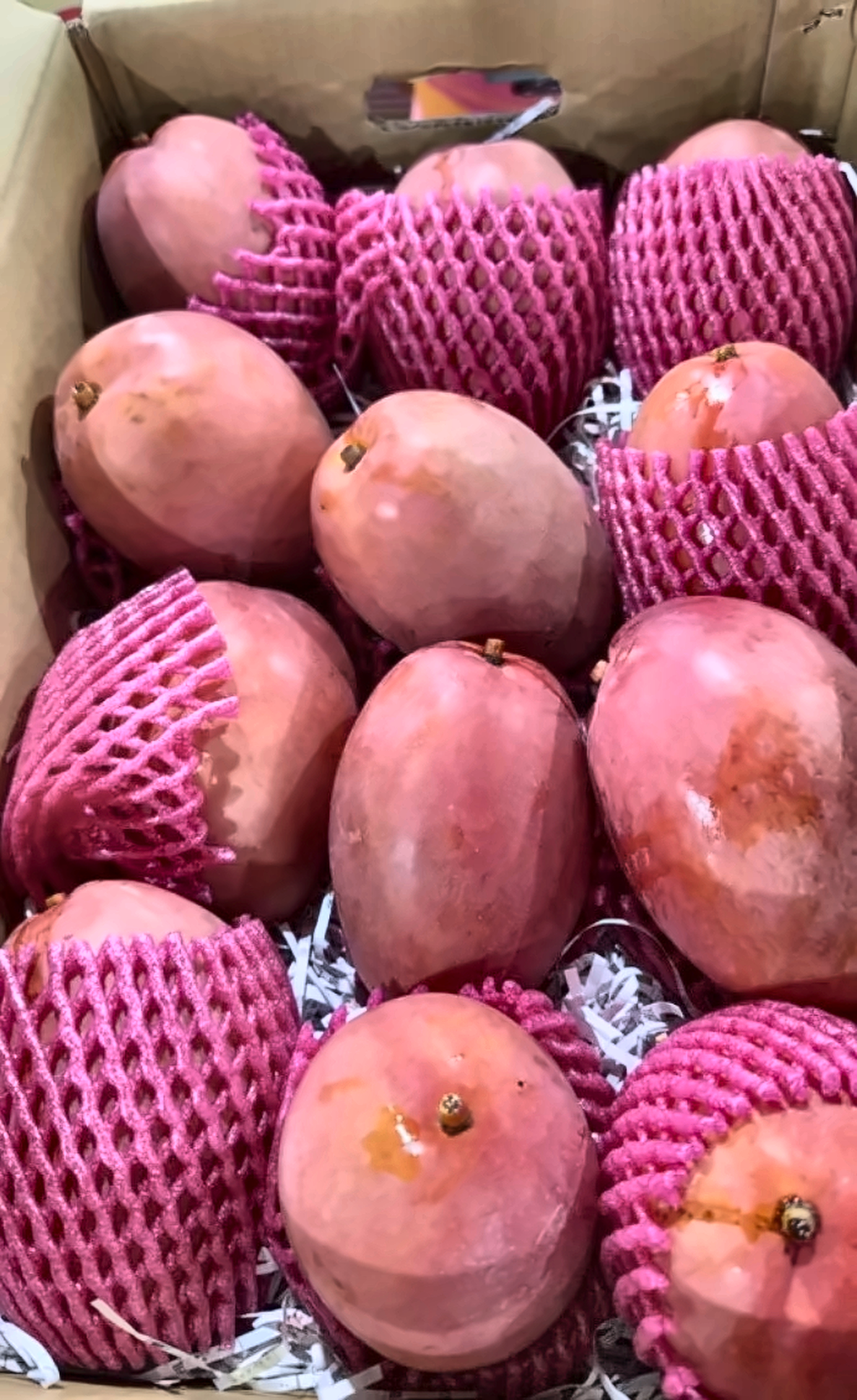 慢文芒果整箱網套包覆實拍