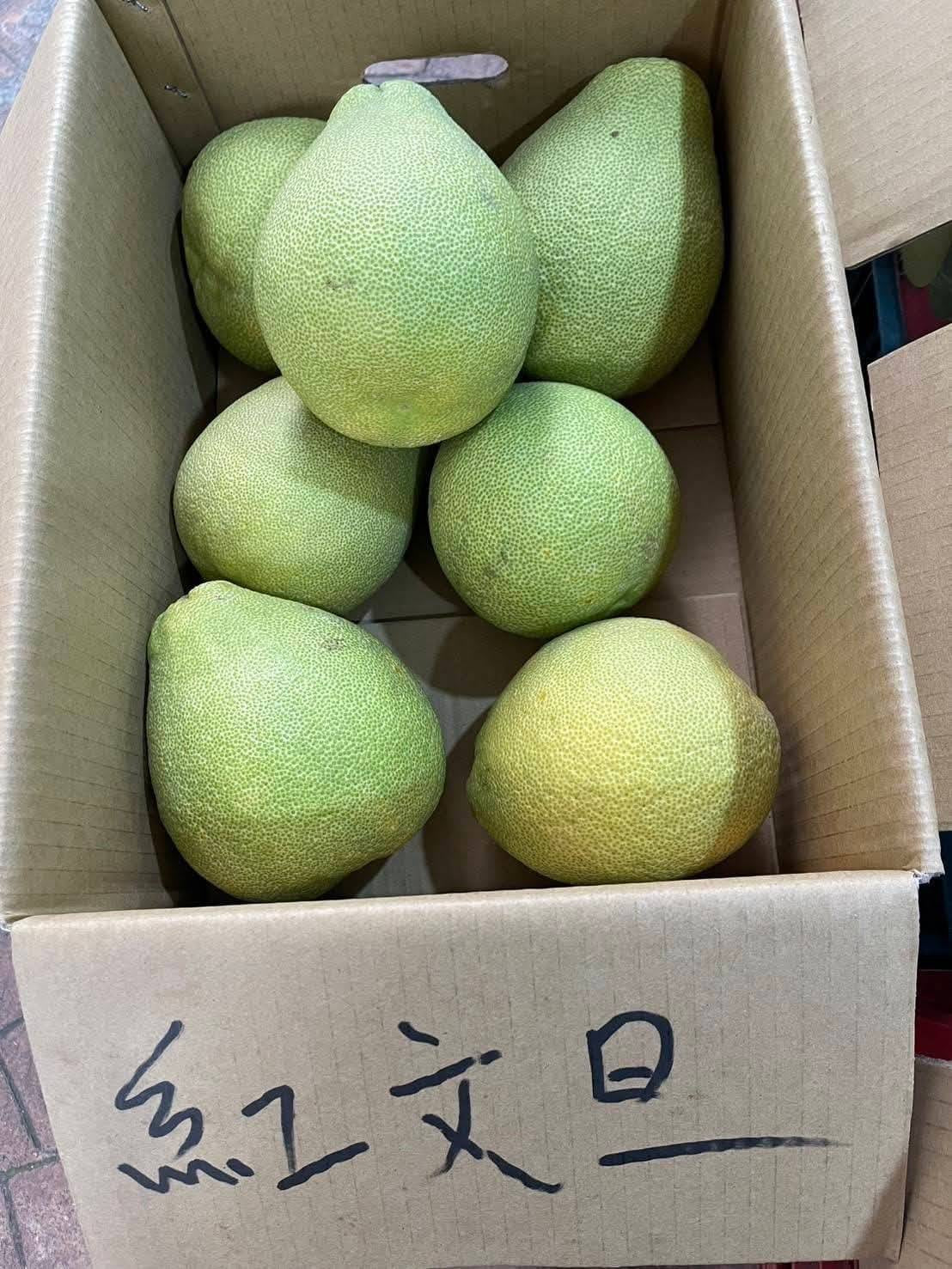 紅文旦 產地紙箱實拍