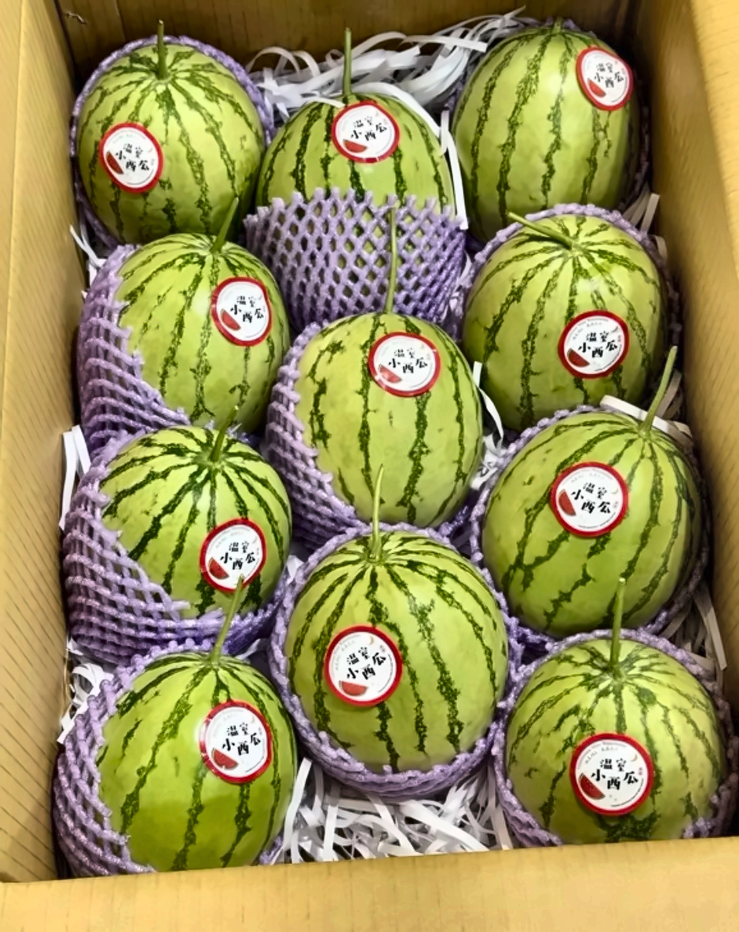 迷你小西瓜裝箱俯視實拍