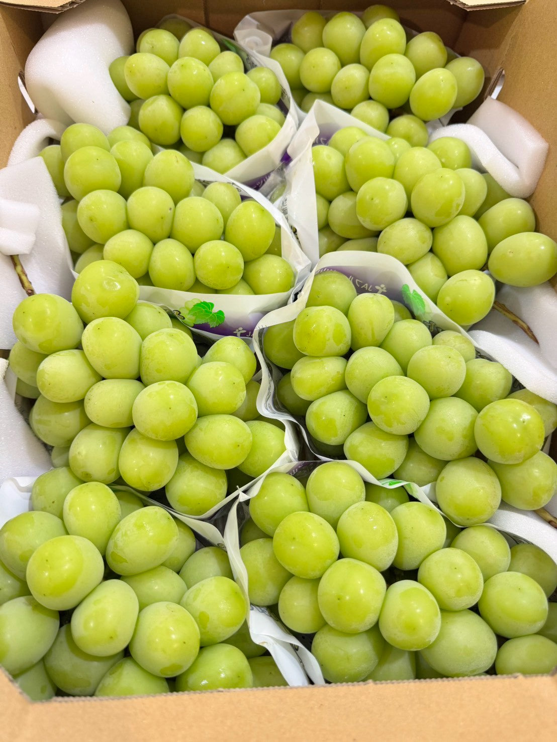 日本山梨麝香葡萄 原箱實拍