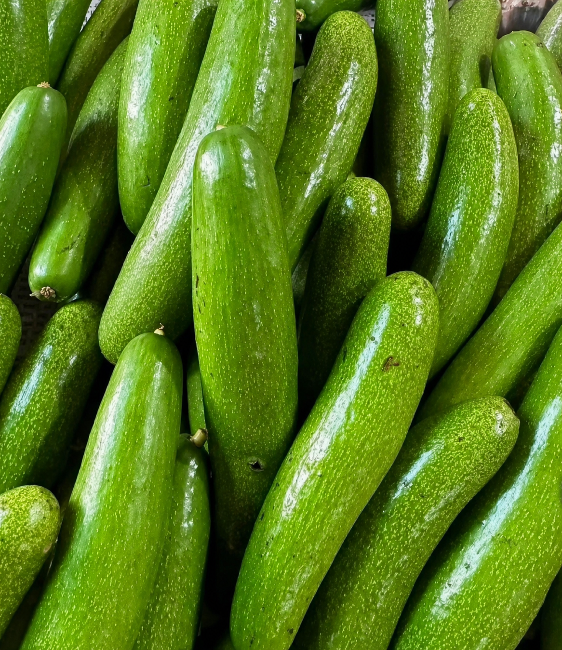 無籽拇指酪梨 新鮮量感