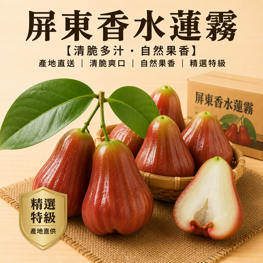 香水蓮霧 首圖
