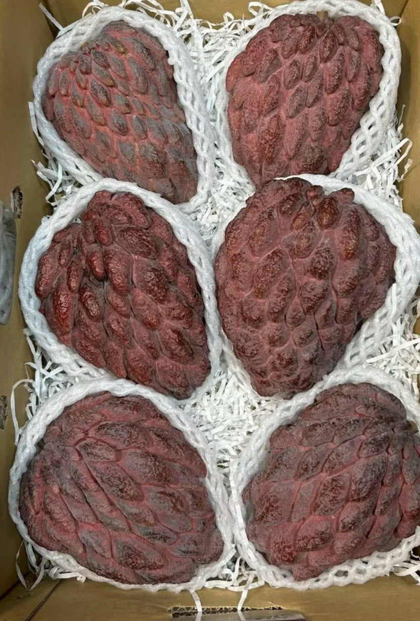 玫瑰釋迦套網裝箱實拍