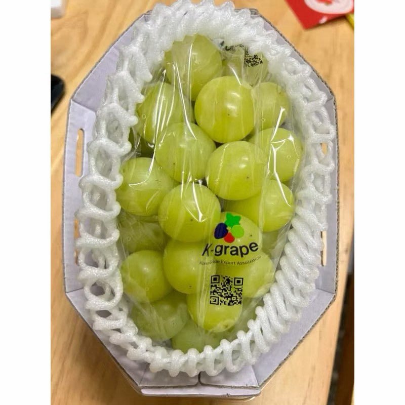 韓國麝香葡萄