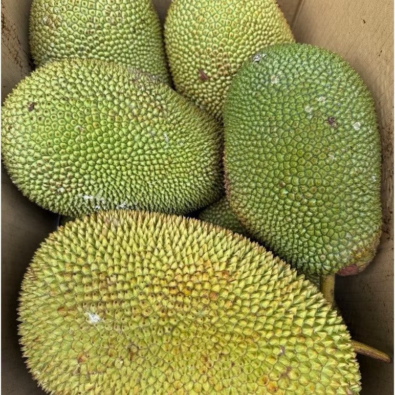 榛櫂蜜現採實拍
