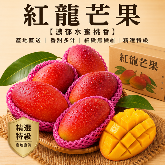 紅龍芒果 首圖