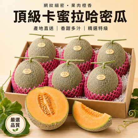 【網紋細密】頂級卡蜜拉哈密瓜