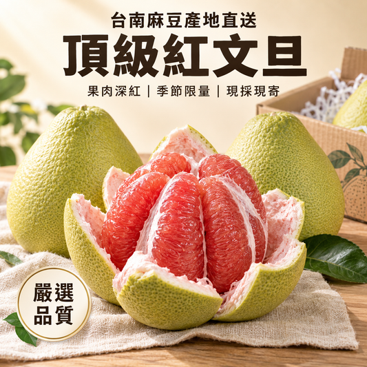 麻豆頂級紅文旦 精選禮盒