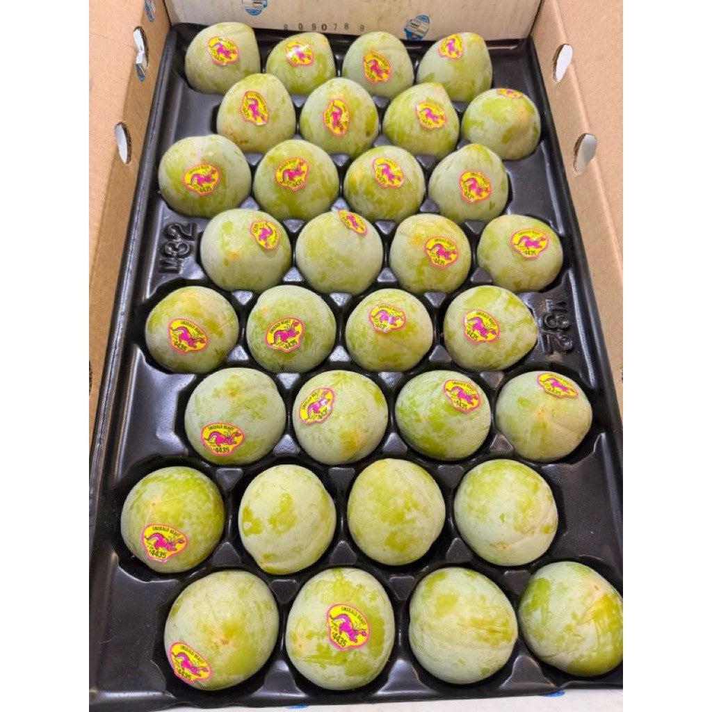 綠色蜥蜴蛋李 整箱排列