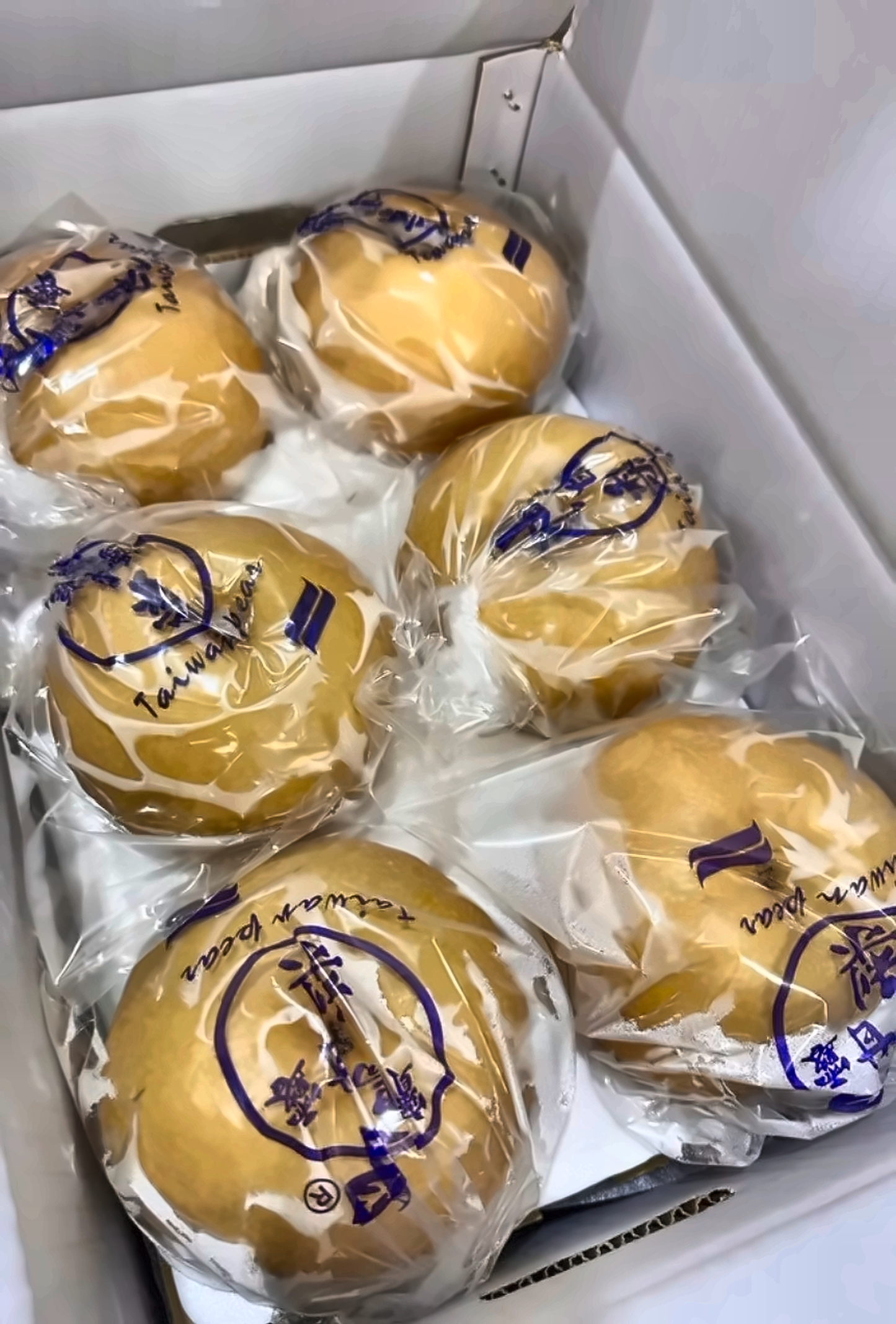 寶島甘露梨單顆套袋包裝實拍