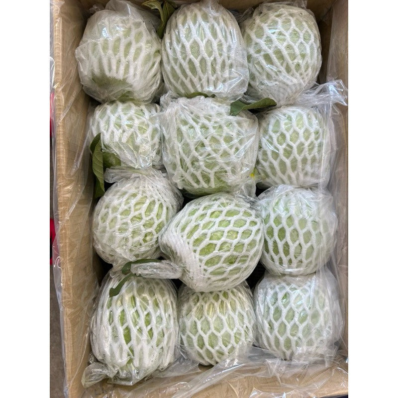 整箱套網包裝的帝王芭樂