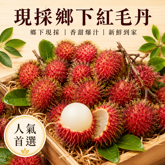 鄉下現採紅毛丹