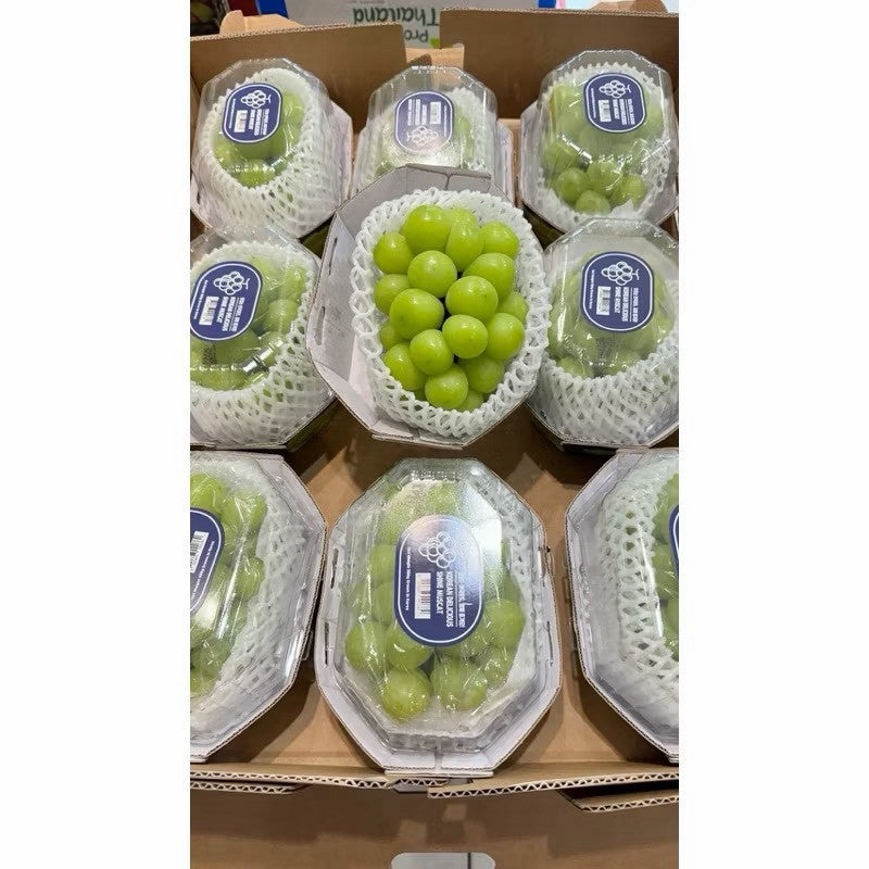 韓國麝香葡萄