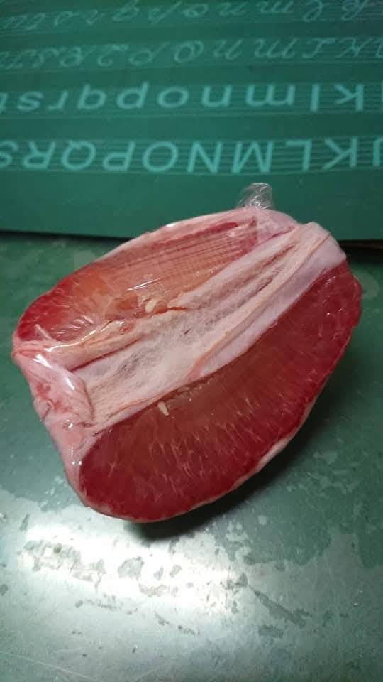 紅文旦 果肉剖面實拍