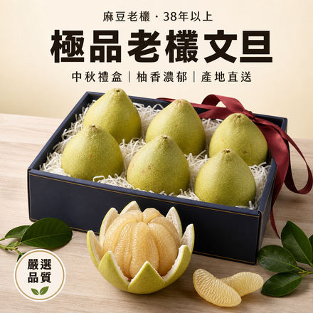 【麻豆38年老欉】珍品園極品文旦禮盒