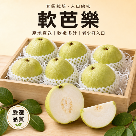 【入口綿密】糖心軟芭樂