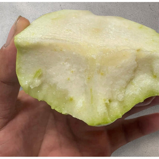 翠玉無子芭樂切面 果肉實心無硬籽