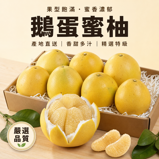 精品鵝蛋蜜柚文旦 果型飽滿 蜜香濃郁