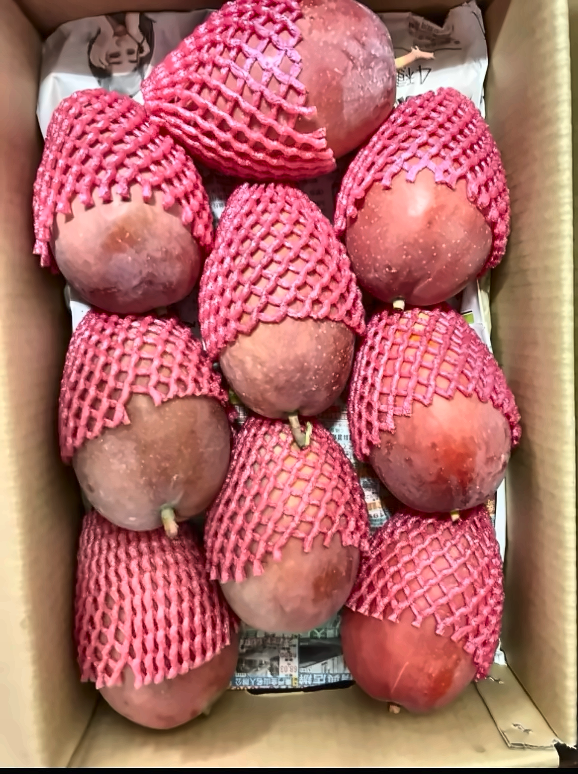 慢文芒果裝箱俯視實拍