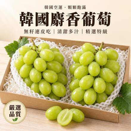 【顆顆飽滿】韓國麝香葡萄
