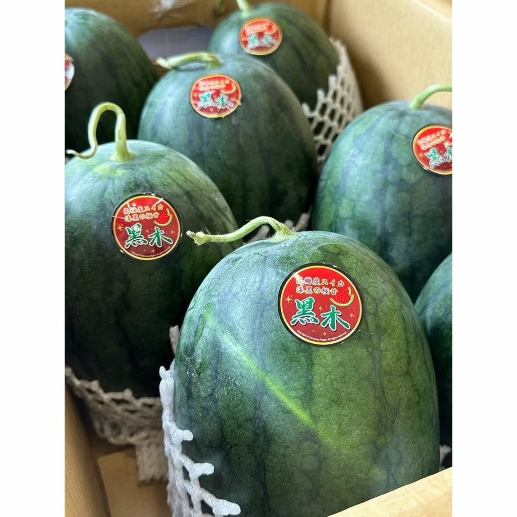 日本品種黑木西瓜