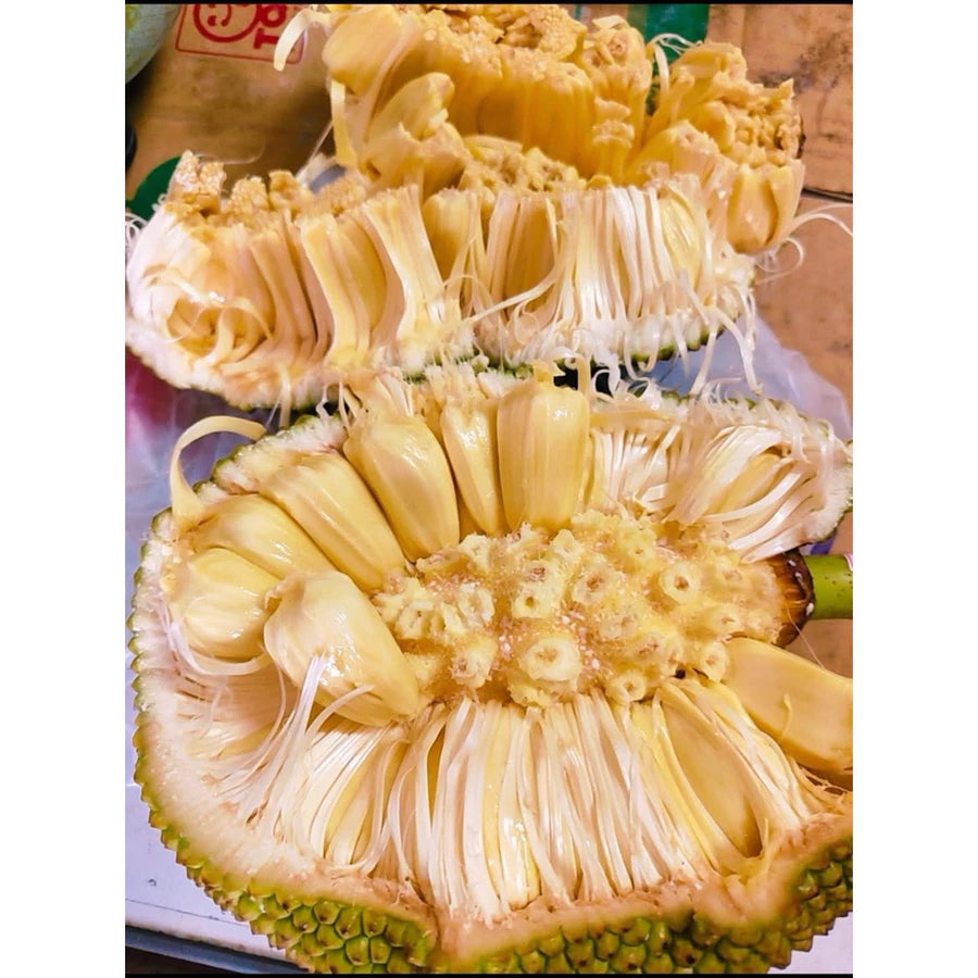 【現剖熟成・濃郁蜜香】波羅蜜