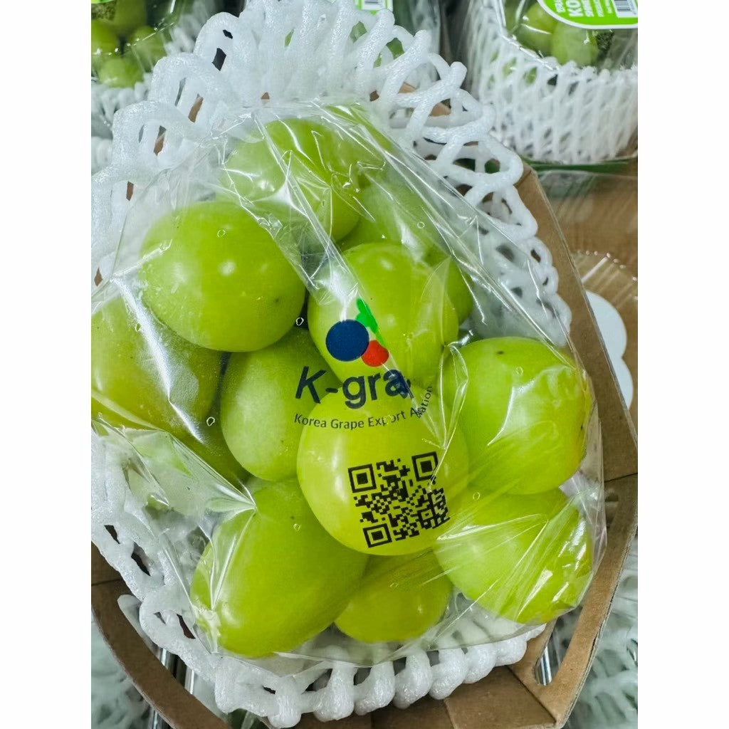 韓國麝香葡萄