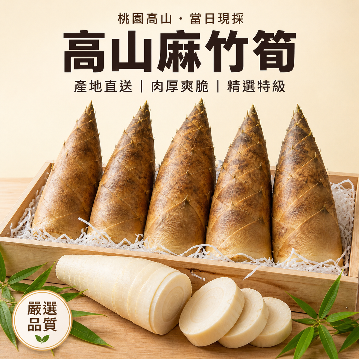 桃園高山麻竹笍 當日現採 肉厚爽脆