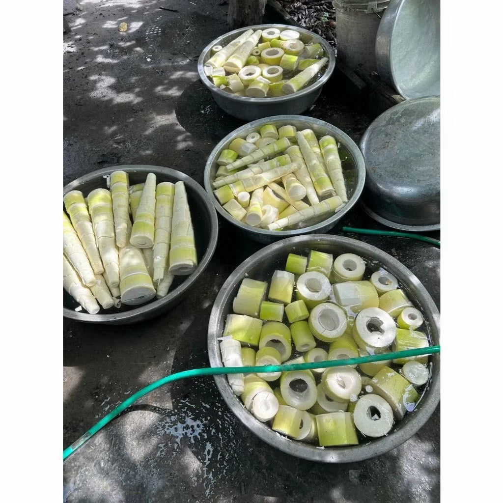麻竹笍去殼切片實拍