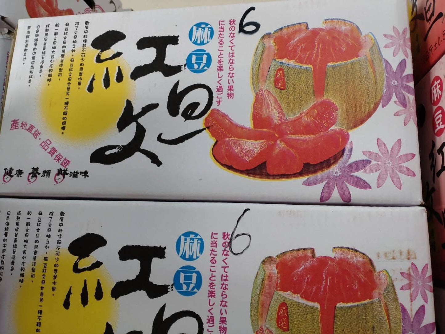 麻豆紅文旦 包裝箱