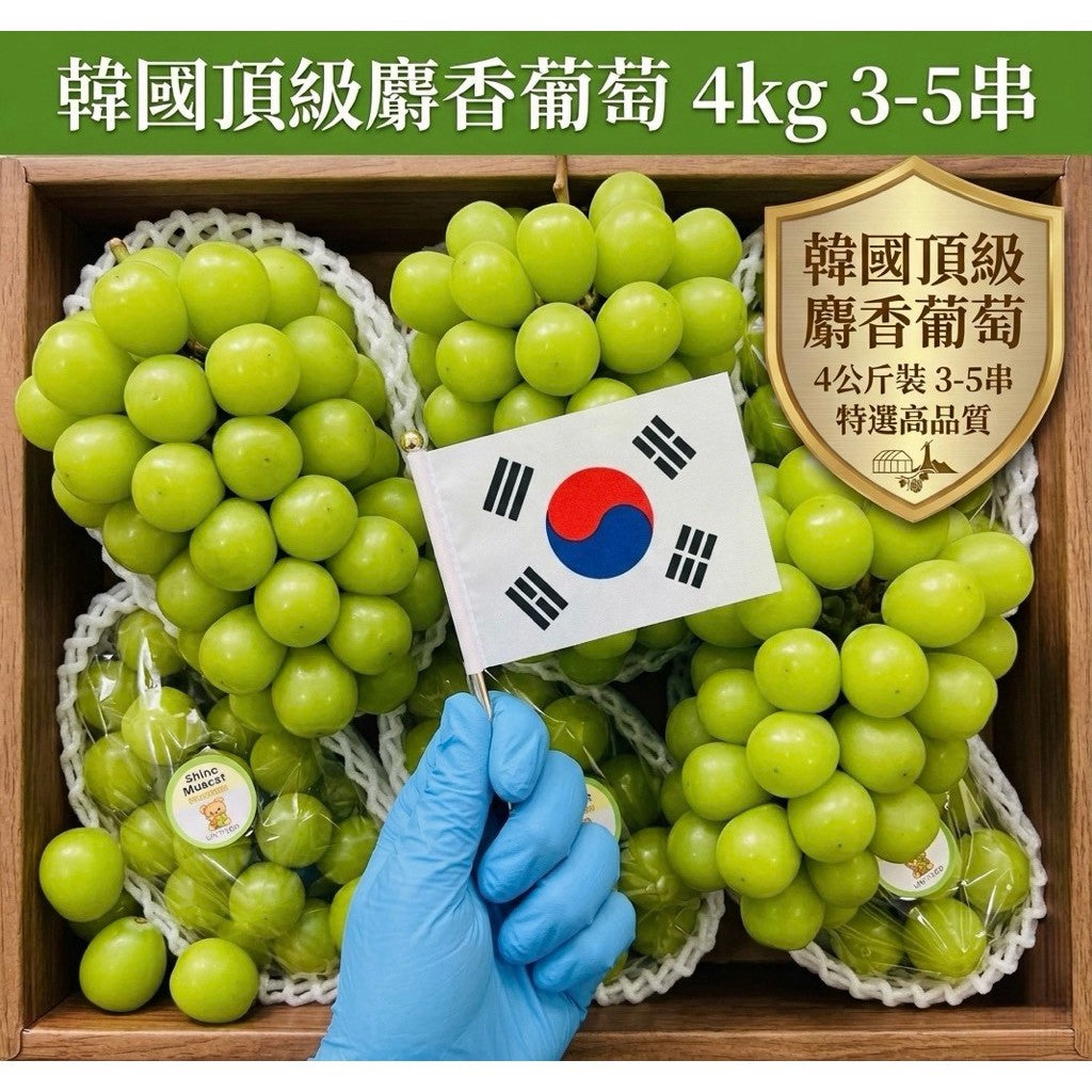 韓國麝香葡萄 實拍