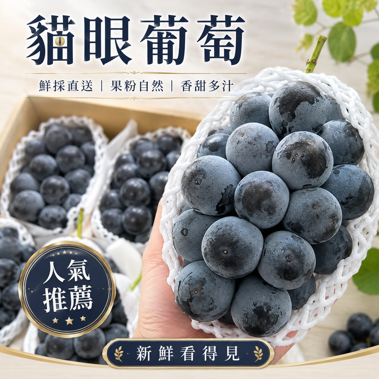 貓眼葡萄 鮮採直送果粉自然香甜多汁