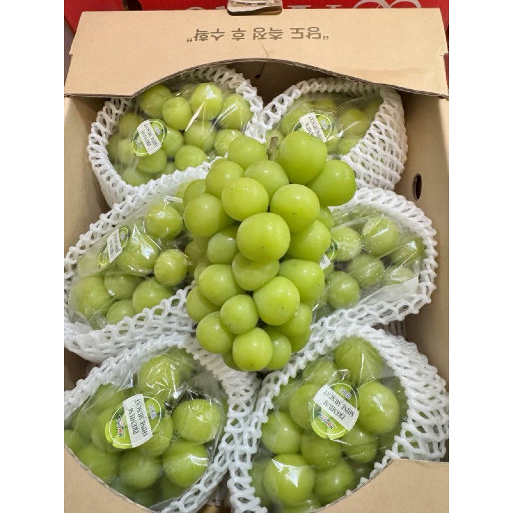 韓國麝香葡萄 實拍