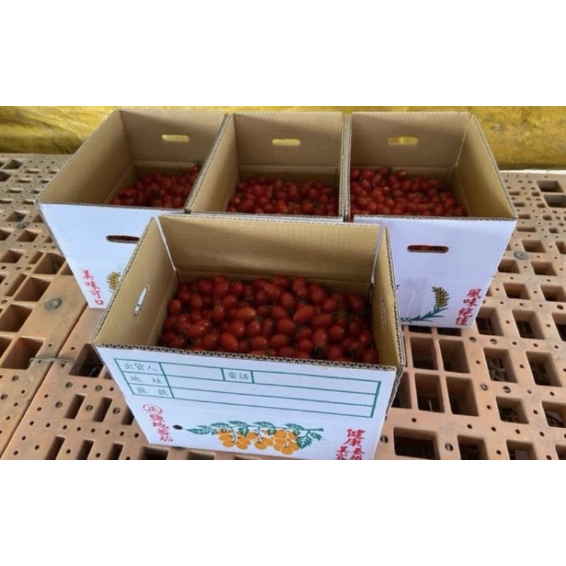【果香濃郁】高雄美濃聖女番茄