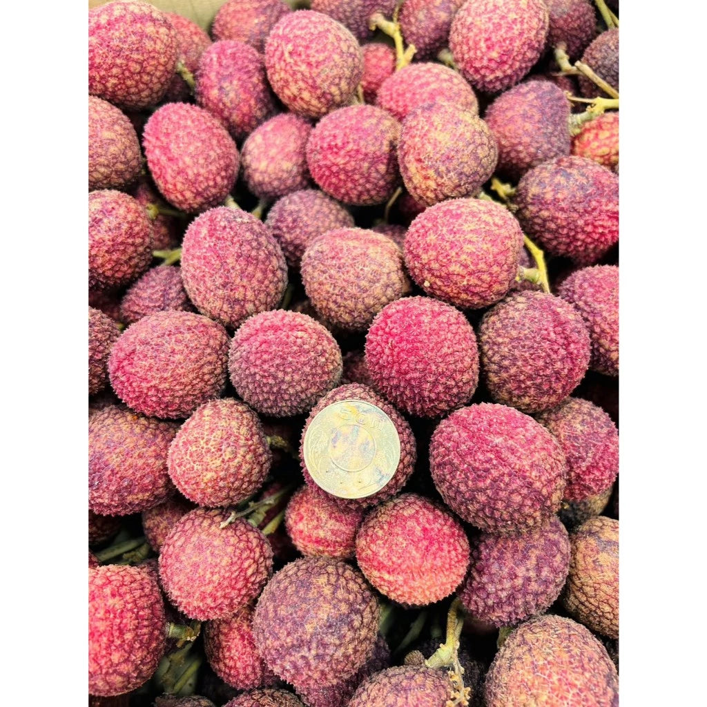 【珍稀玫瑰香】台中高山玫瑰紅鹽荔枝