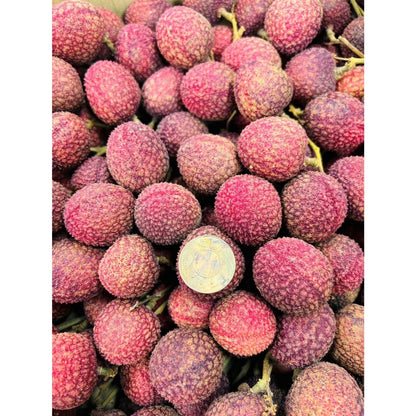 【珍稀玫瑰香】台中高山玫瑰紅鹽荔枝